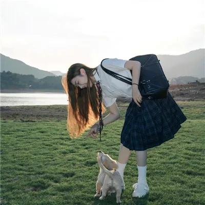 机甲少女 FRAME ARMS GIRL～高高兴兴的幻境～